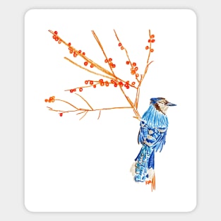 Blue Jay Magnet